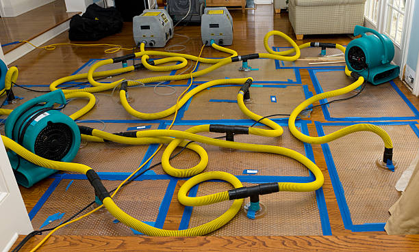 Professional Crawl Space Water Removal technician working in Rohnert Park, CA